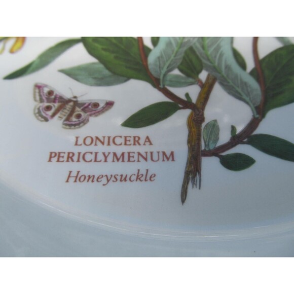 Portmeirion Chrysanthemum And Lonicera Set Of 2 Floral 10 1/2" Dinner Plates VGC - Picture 5 of 13